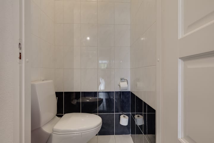 Foto 7 van Hermelijnvlinder 36