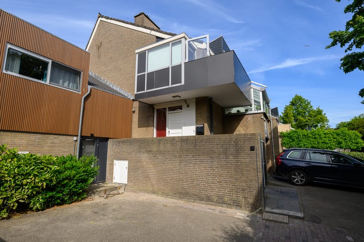 Foto 6 van Hermelijnvlinder 36