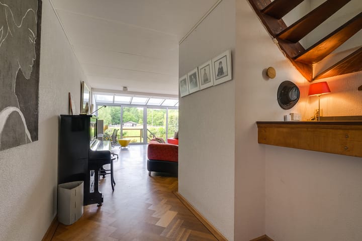 Foto 8 van Hermelijnvlinder 36