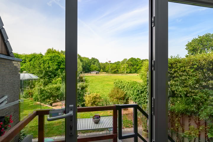 Foto 13 van Hermelijnvlinder 36