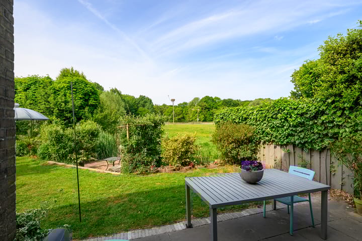 Foto 15 van Hermelijnvlinder 36