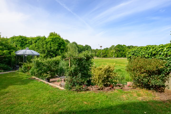 Foto 16 van Hermelijnvlinder 36