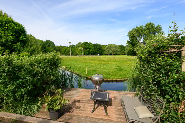 Foto 17 van Hermelijnvlinder 36