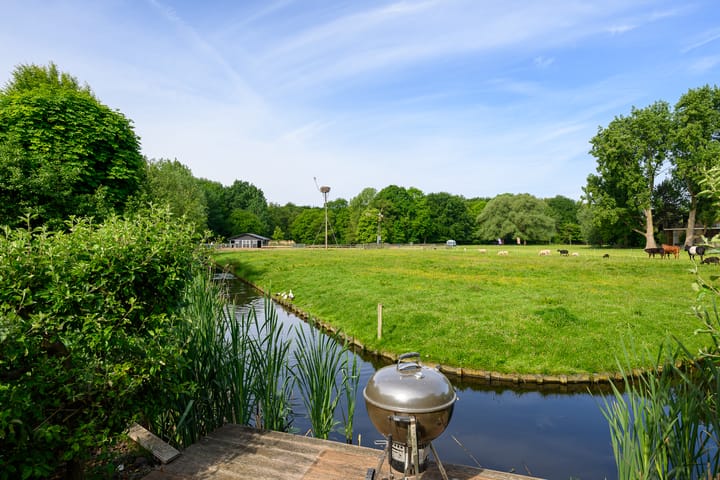 Foto 18 van Hermelijnvlinder 36