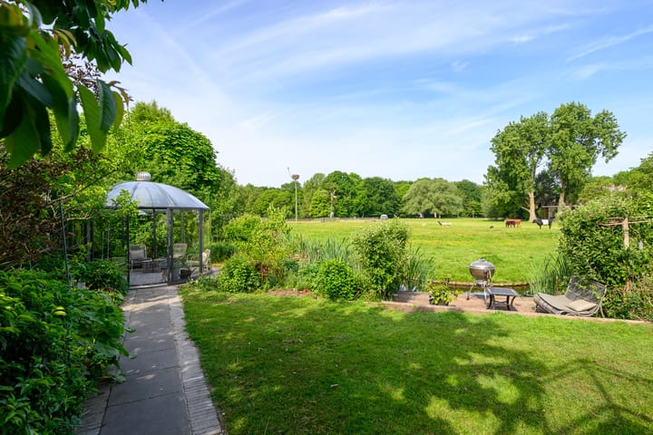 Foto 2 van Hermelijnvlinder 36