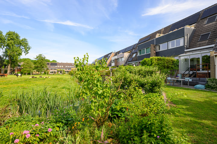 Foto 23 van Hermelijnvlinder 36