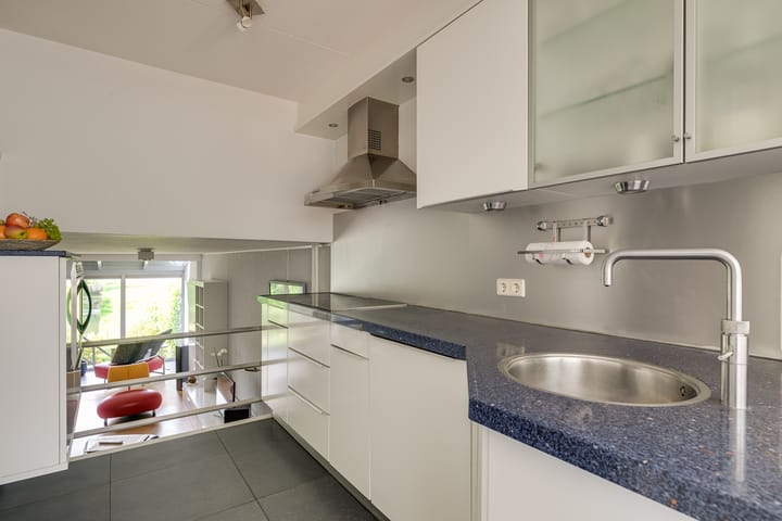 Foto 25 van Hermelijnvlinder 36