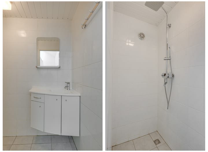 Foto 37 van Hermelijnvlinder 36