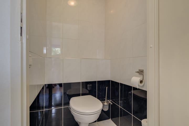 Foto 38 van Hermelijnvlinder 36