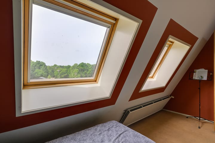 Foto 40 van Hermelijnvlinder 36