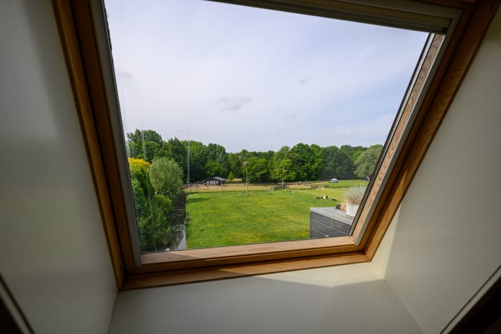 Foto 41 van Hermelijnvlinder 36