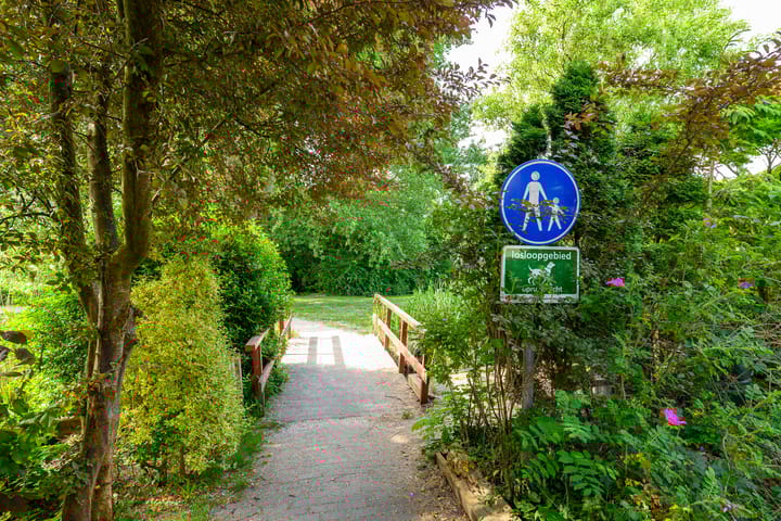 Foto 43 van Hermelijnvlinder 36