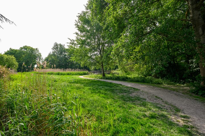 Foto 44 van Hermelijnvlinder 36