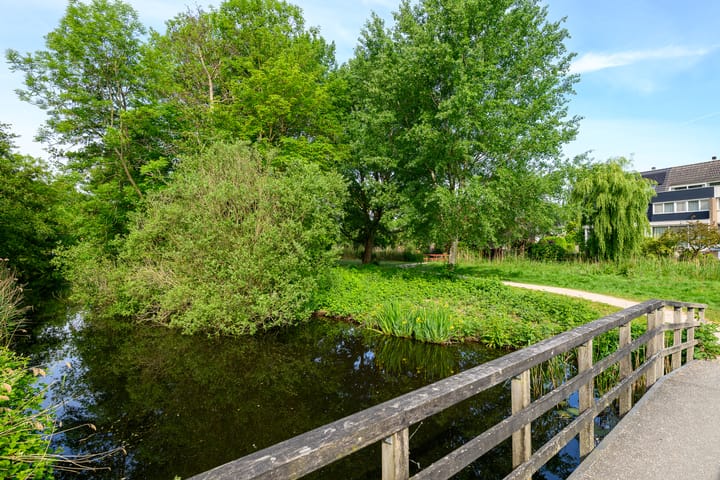 Foto 45 van Hermelijnvlinder 36