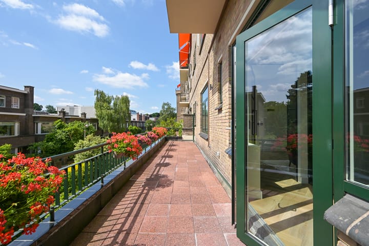 Foto 29 van Van Alkemadelaan 350-114