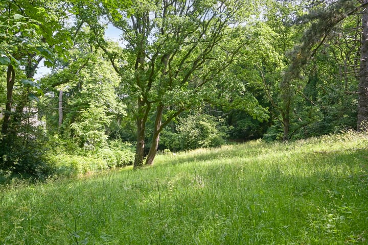 Foto 39 van Van Alkemadelaan 350-114