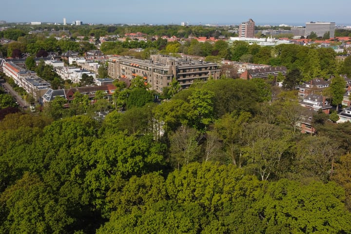 Foto 41 van Van Alkemadelaan 350-114