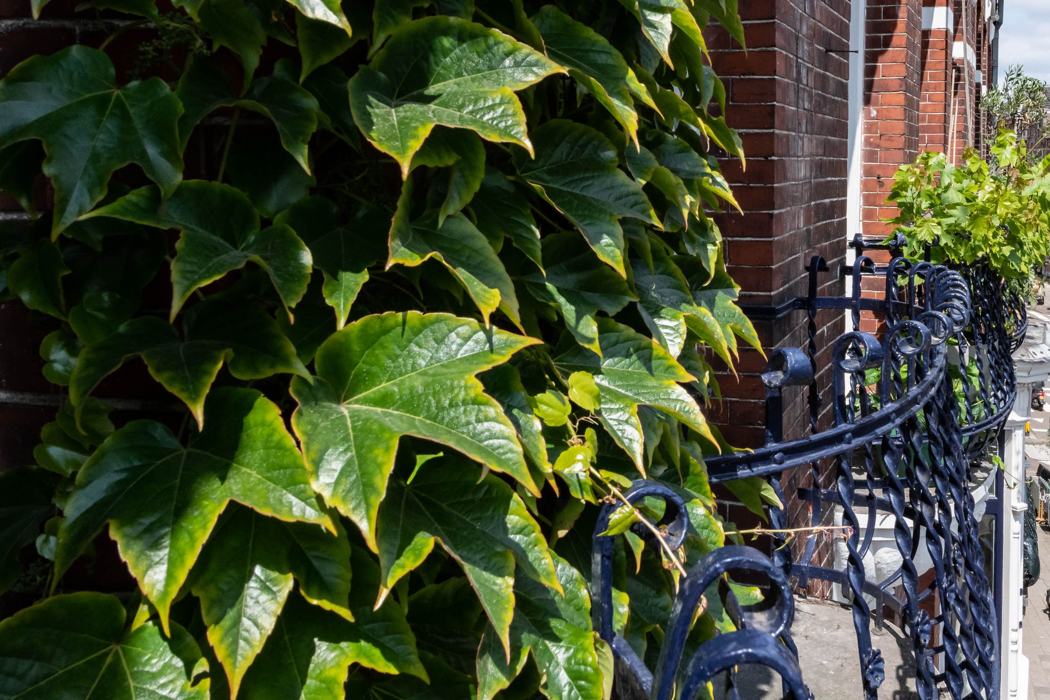 Foto 9 van Tweede Constantijn Huygensstraat 74-2