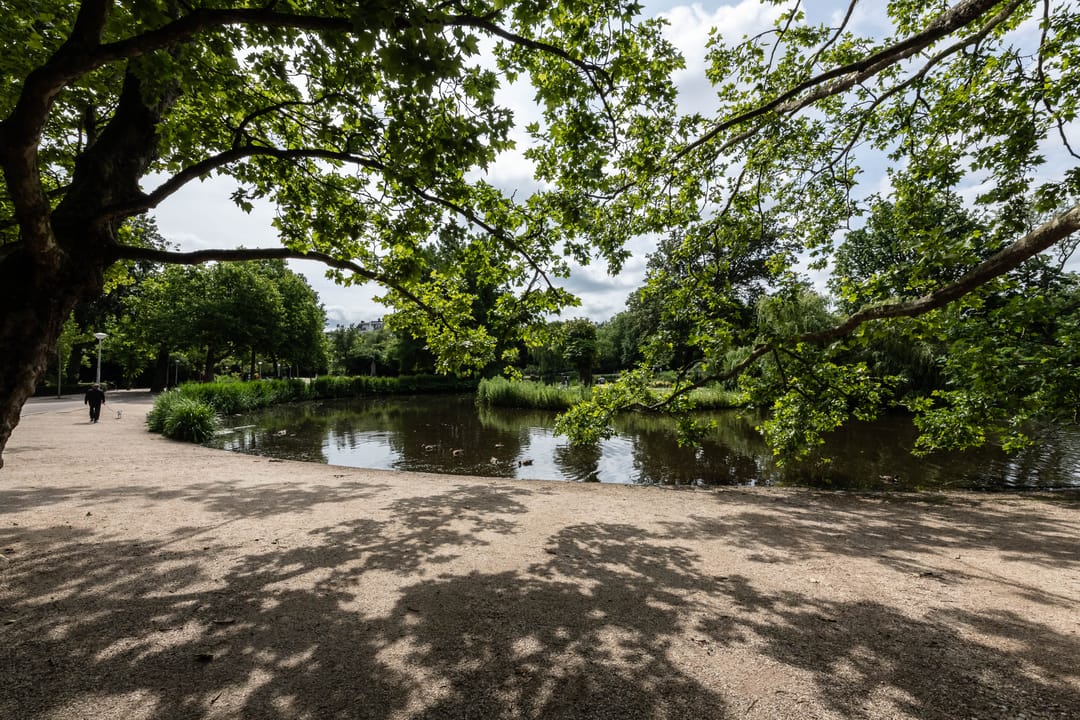 Foto 46 van Tweede Constantijn Huygensstraat 74-2