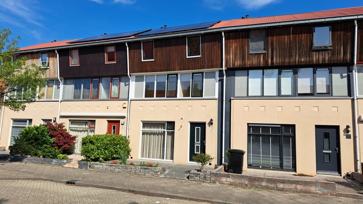 undefined main image