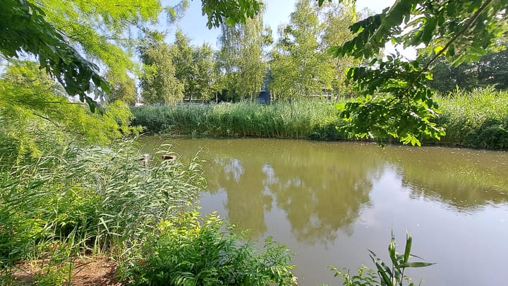 Foto 18 van Habanerastraat 41