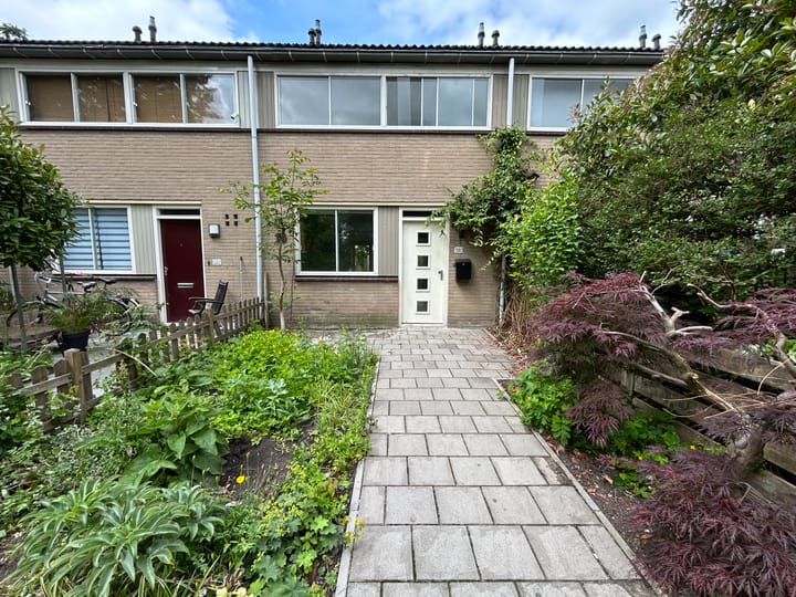 Foto 2 van Hesselterbrink 390