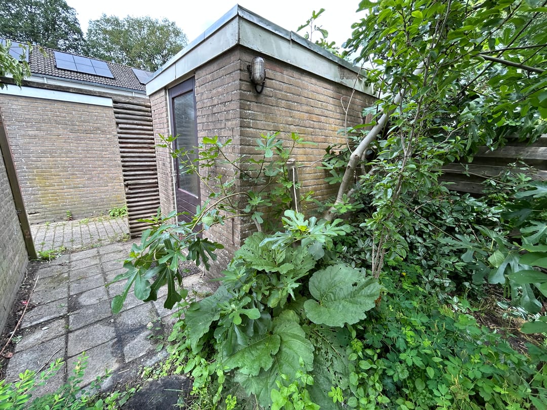 Foto 11 van Hesselterbrink 390