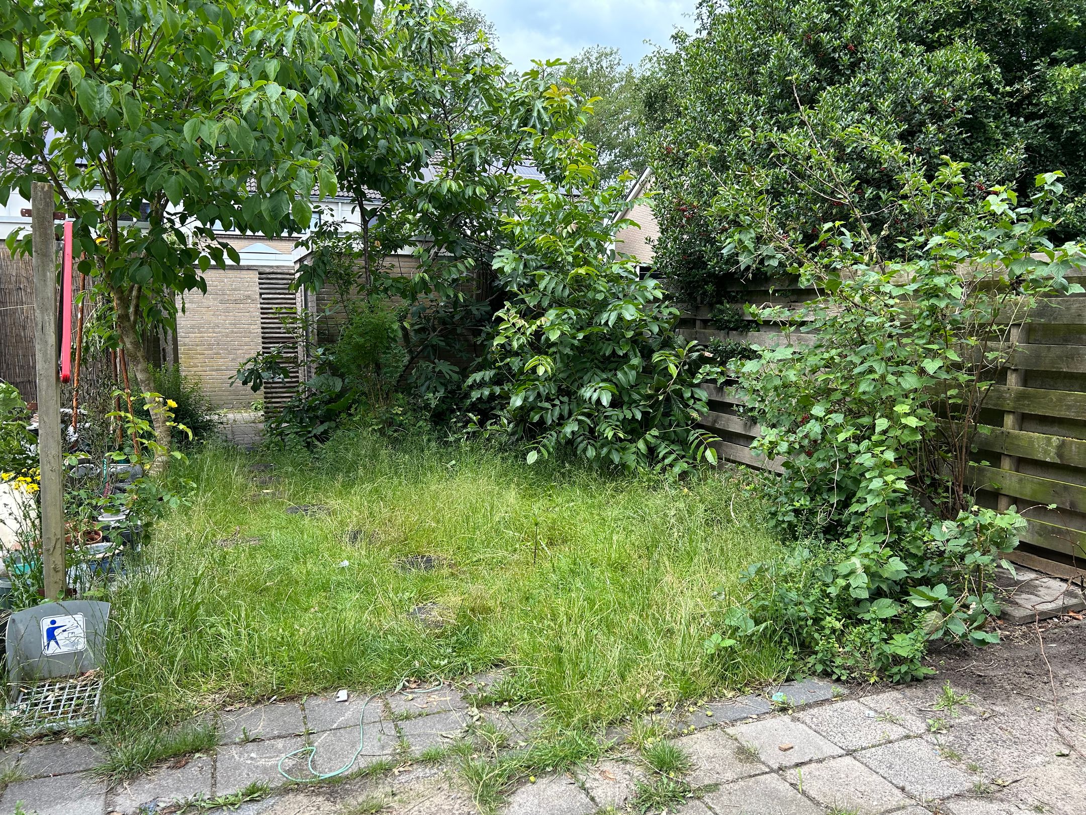 Foto 12 van Hesselterbrink 390