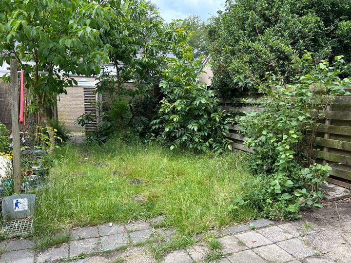 Foto 12 van Hesselterbrink 390