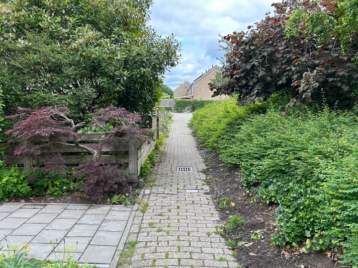 Foto 17 van Hesselterbrink 390