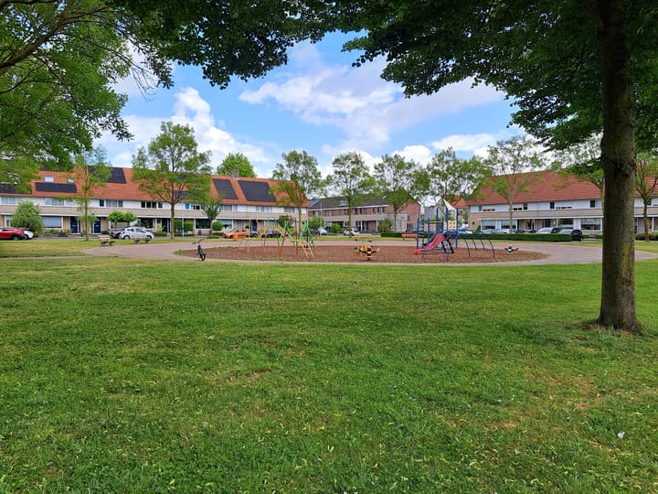 Foto 18 van Visarend 45