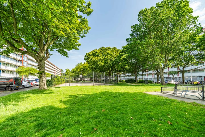 Foto 39 van Jacques Urlusplantsoen 378