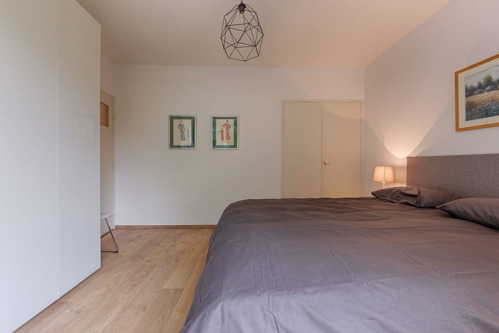 Photo 13 of Suzannaland 452