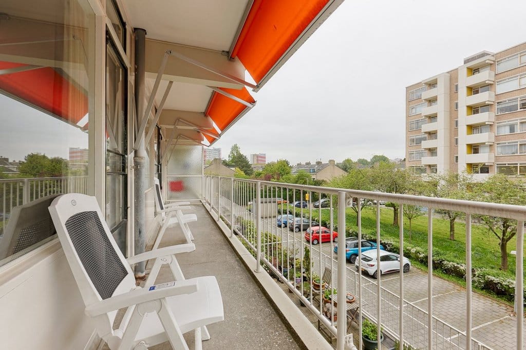 Photo 21 of Suzannaland 452