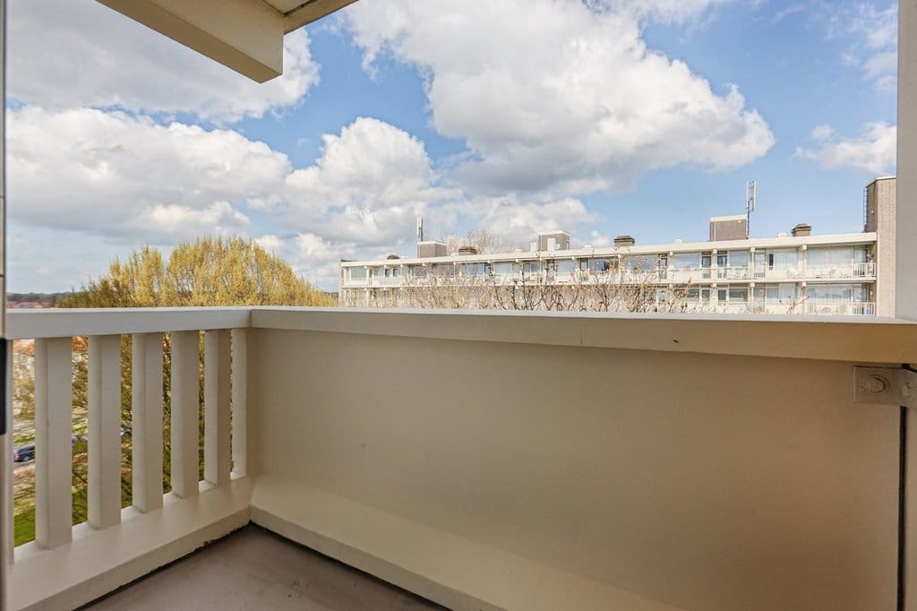 Photo 22 of Suzannaland 452