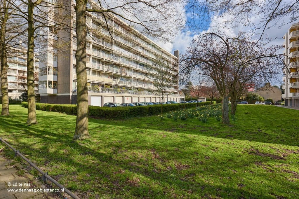 Photo 23 of Suzannaland 452