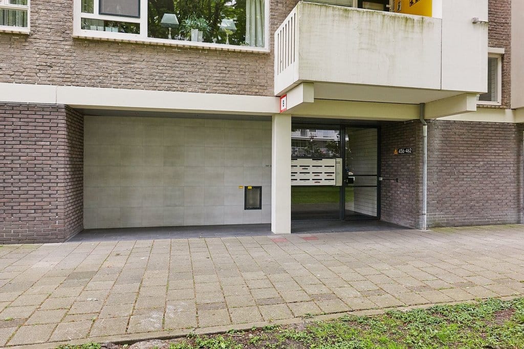 Photo 24 of Suzannaland 452