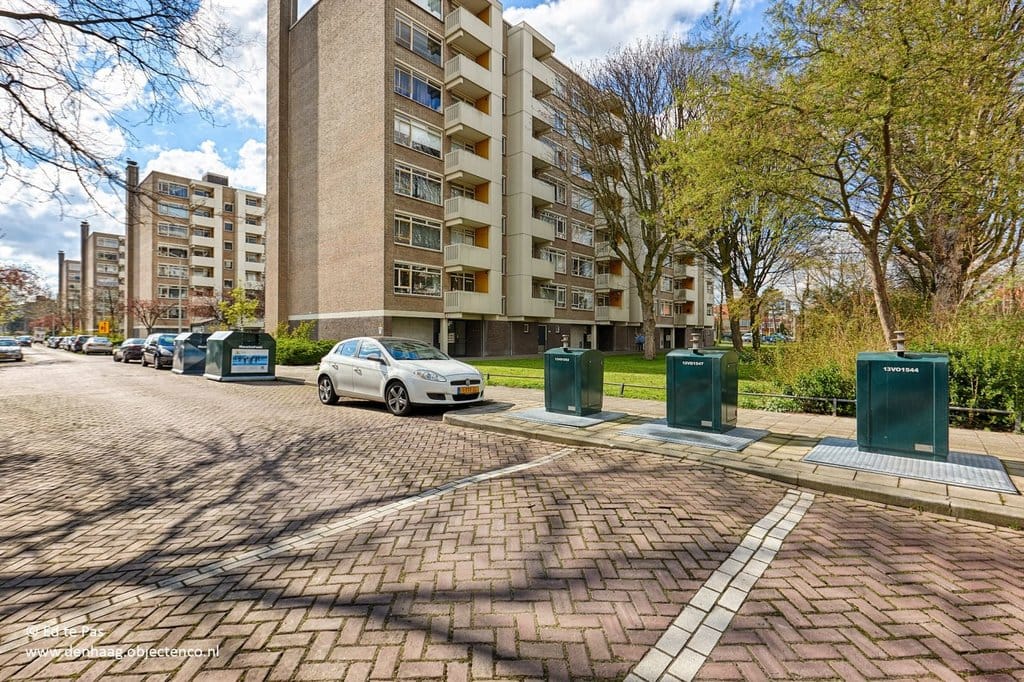 Photo 25 of Suzannaland 452