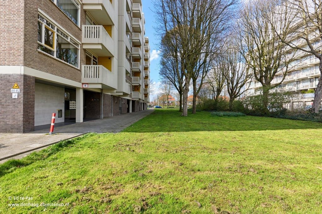 Photo 26 of Suzannaland 452