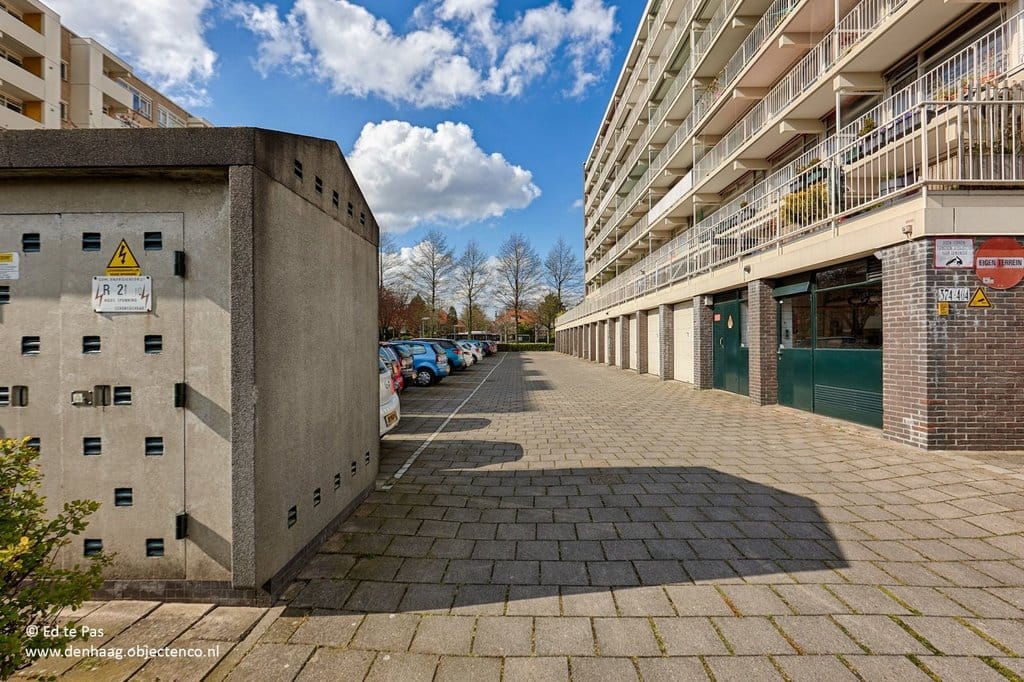 Photo 27 of Suzannaland 452