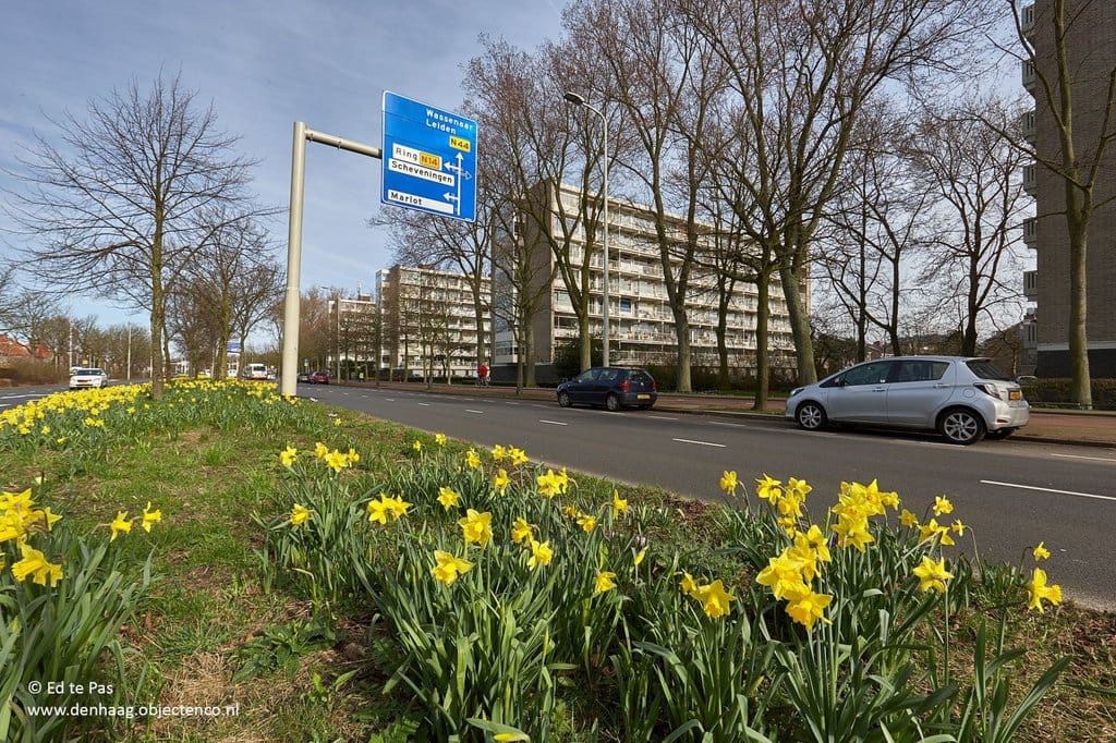 Photo 28 of Suzannaland 452