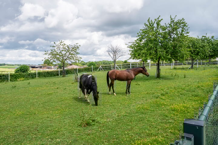 Photo 62 of Langstraat 20