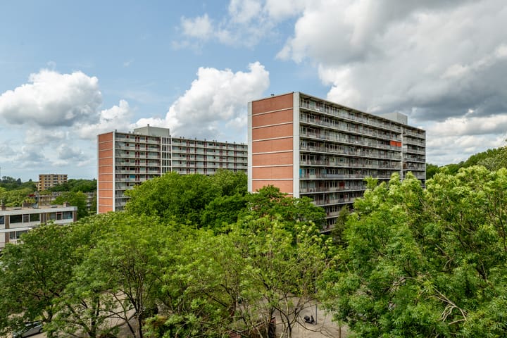 Foto 4 van Zandkreek 102