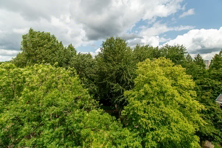 Foto 31 van Zandkreek 102