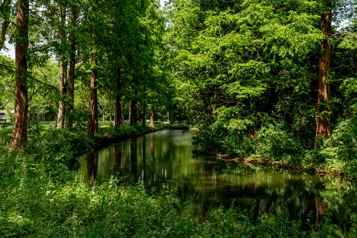 Foto 35 van Zandkreek 102