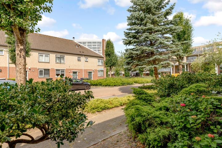 Foto 49 van Nat King Colestraat 12