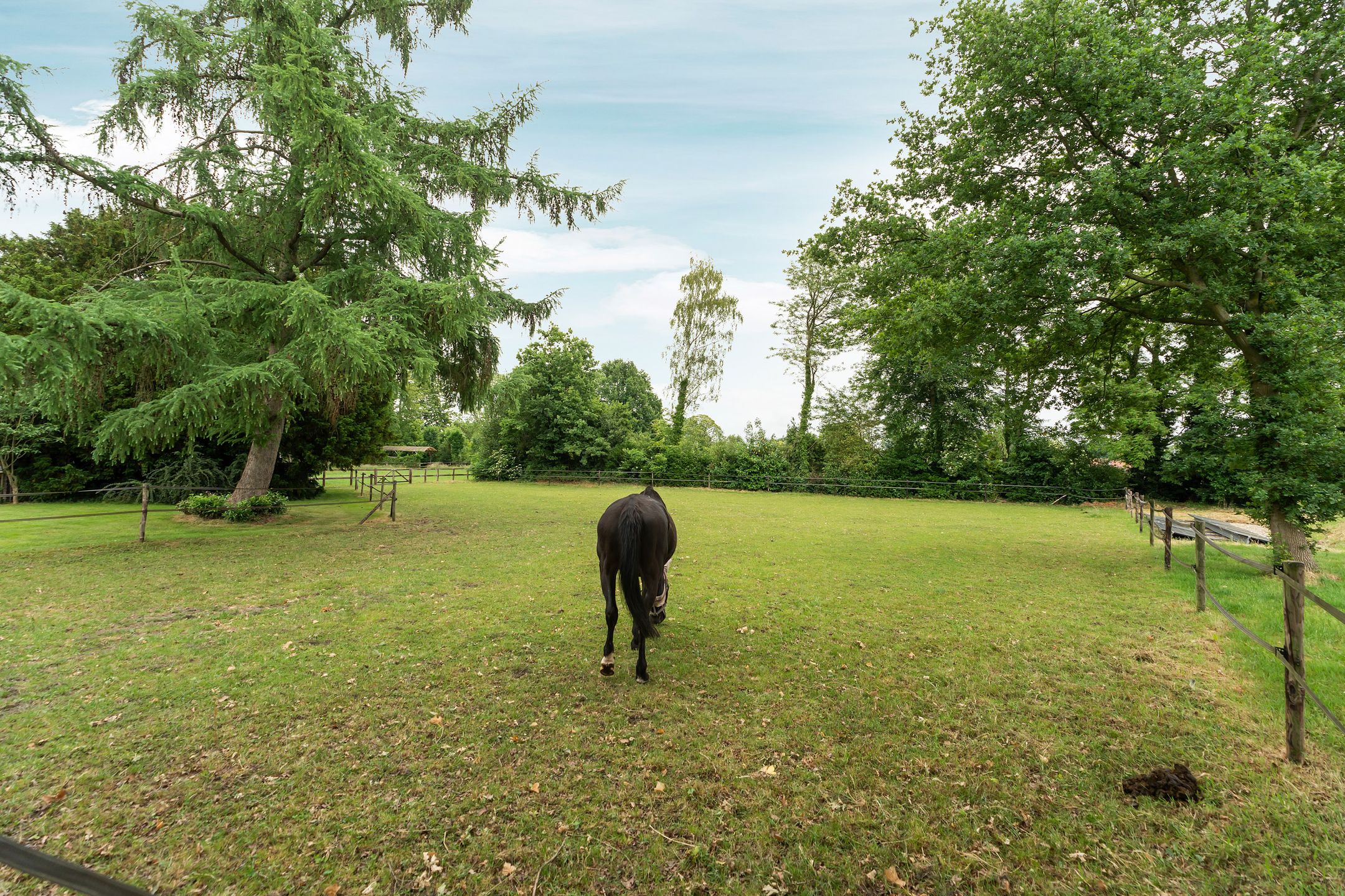 Photo 57 of Slatweg 15