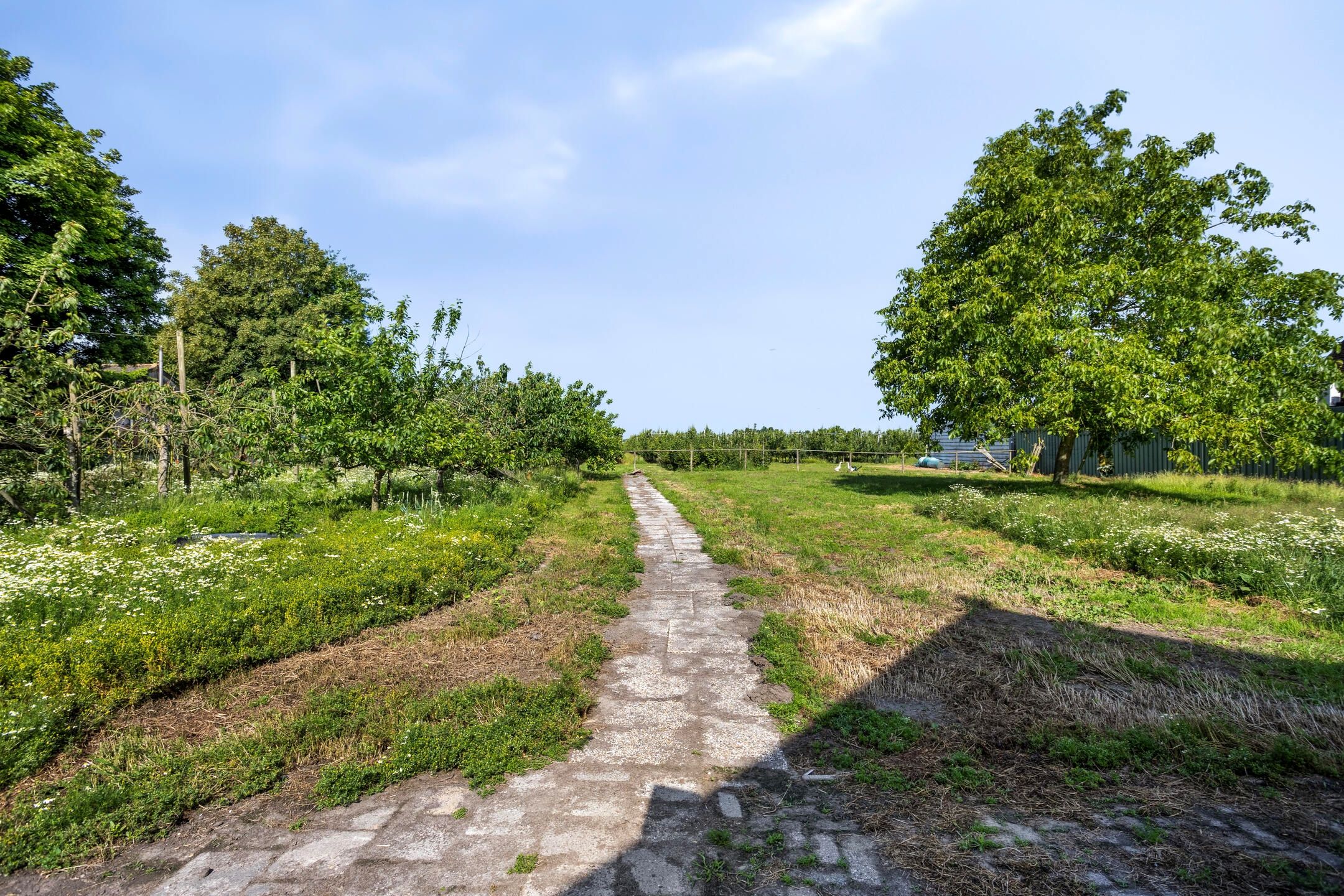 Foto 51 van Slagtweistraat 1