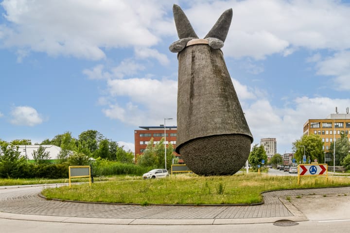 Foto 22 van Belgiëplein 82