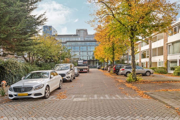 Willem Pijperstraat 58